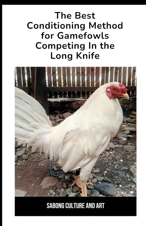 The Best Conditioning Method for Gamefowls Competing In the .